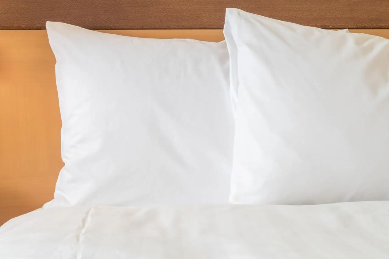 ** Hotel Holiday Inn Express San Sebastian De Los Reyes By Ihg Španělsko